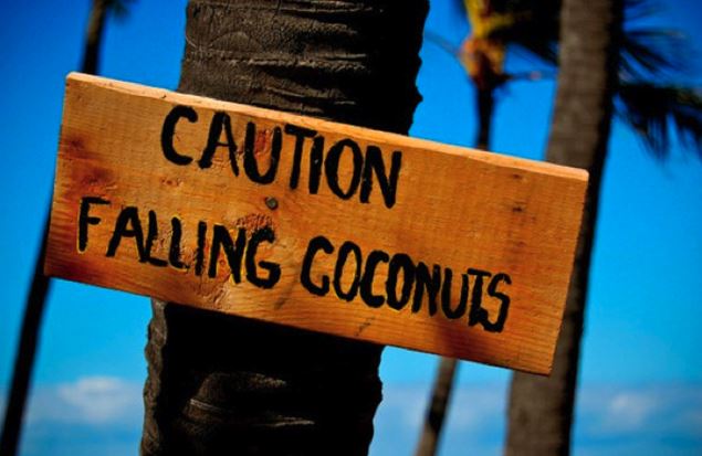 Kokosy padajú
